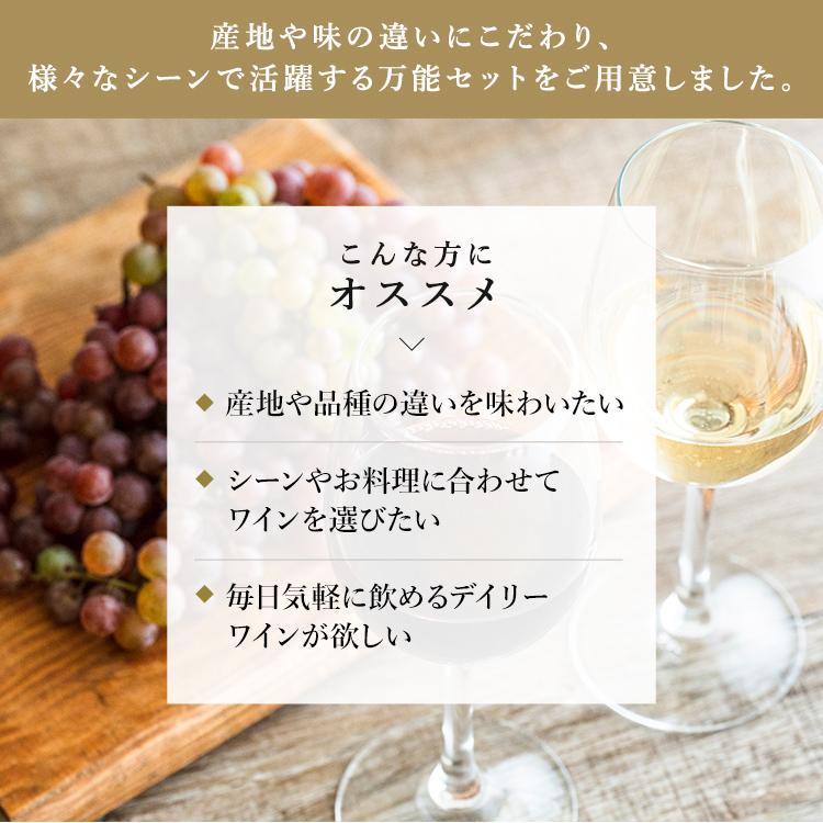 ワイン ワインセット 赤 赤白 白 12本 都内有名ホテル使用 12本ワイン