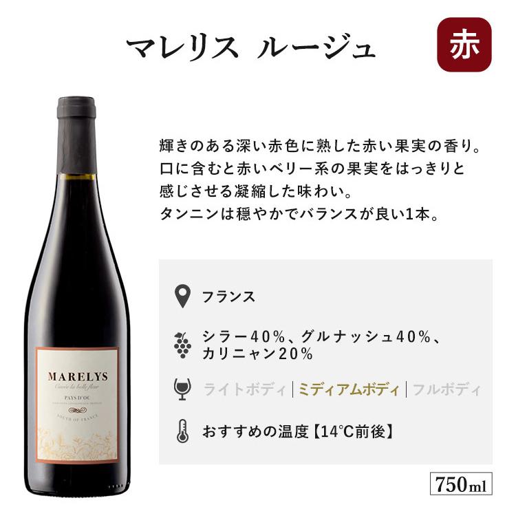 ワイン ワインセット 赤 赤白 白 12本 都内有名ホテル使用 12本ワイン
