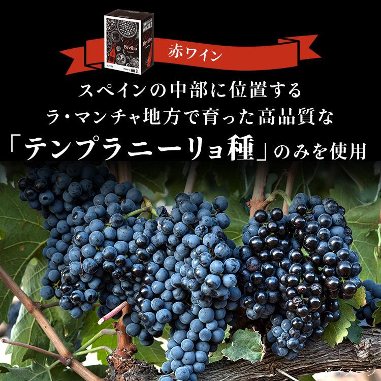 ボックスワイン 3L 赤ワイン 白ワイン スペイン産 ワイン