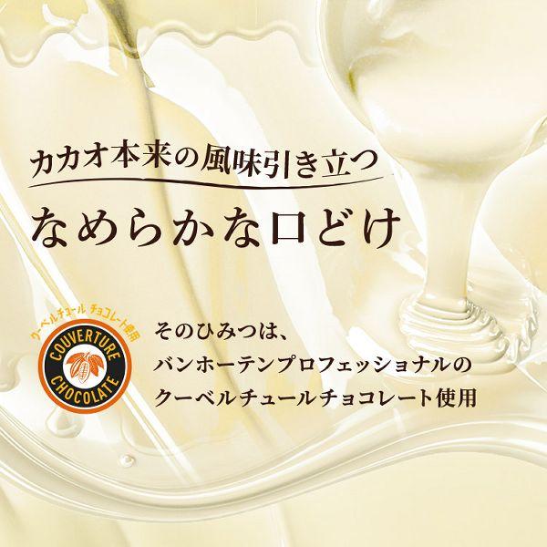 割れチョコ 訳あり ホワイトチョコ 300g ストロベリー オレンジピール 塩レモン ホワイト3種の割れチョコ (D) |  | 01