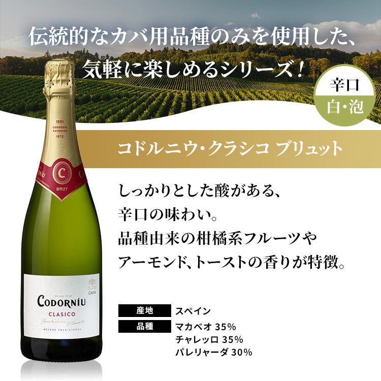 スパークリングワイン カヴァ CAVA コドルニウCAVA 飲み比べ5本セット