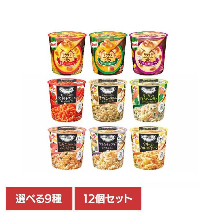 12個)食品 惣菜 スープ カップスープ 「スープDELI(R)」 （容器入