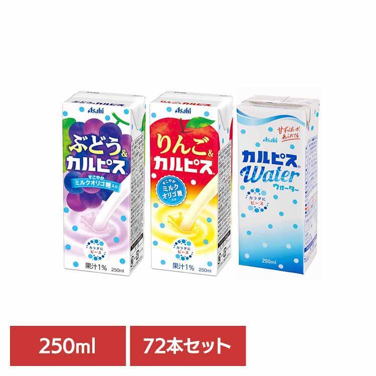 72本セット カルピス250ml 紙パック ジュース ソフトドリンク 100