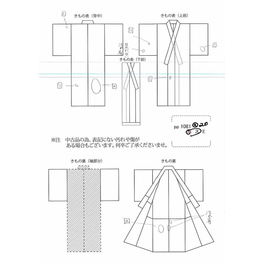 リサイクル着物 大島紬 中古 正絹 仕立て上がり クリーニング済 pp1081a20の画像