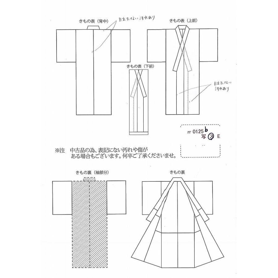 リサイクル着物 付下げ 中古 夏物 正絹 仕立て上がり 絽 盛夏 rr0125b
