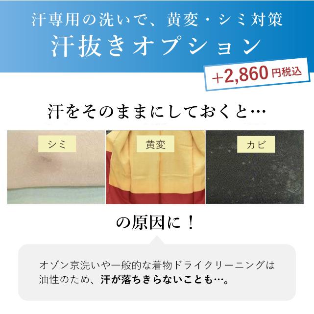 帯 クリーニング 宅配 袋帯 名古屋帯 半幅帯 オゾン 京洗い 丸洗い 洗い 洗濯 消臭 臭いと菌に着目 タバコ sin1585 着物ひととき 角帯 正絹や化繊もOK【S】 |  | 11