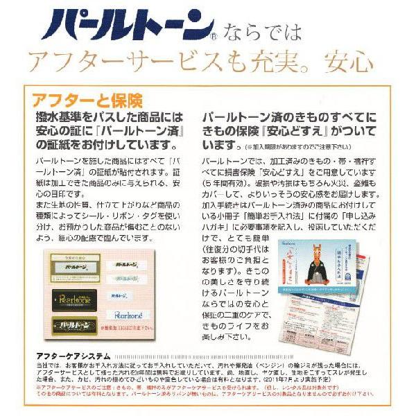 パールトーン加工 パールトーン加工 お仕立て セット 色無地 撥水 防カビ 汚れも安心