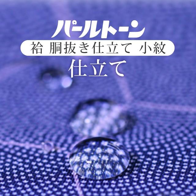 小紋 パールトーン加工 お仕立て セット 小紋 撥水 防カビ 汚れも安心 ガード加工 着物の事は全てお任せ下さい sin8051pt-shitate