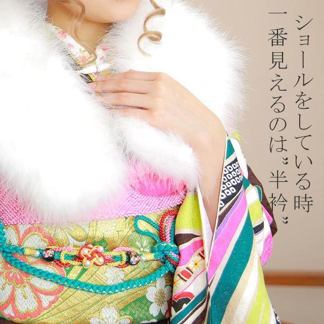 半衿 刺繍半衿 彩小径 シルエーヌ 日本製 刺繍 半襟 はんえり 黒 白 金 