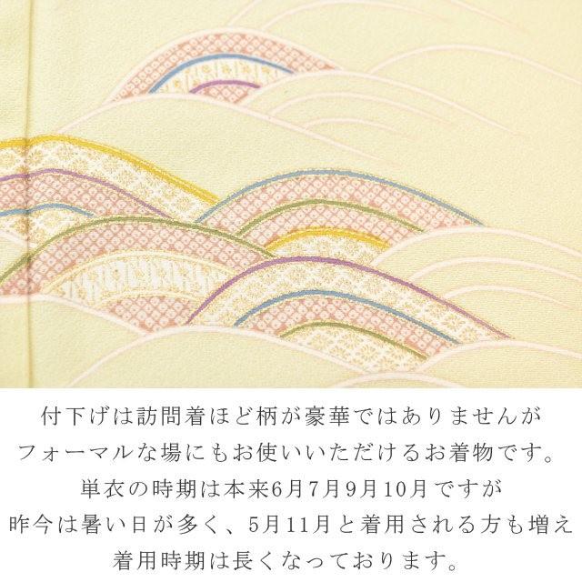 単衣 仕立て上がり 着物 附下 付け下げ 付下げ 正絹 絹 パーティー