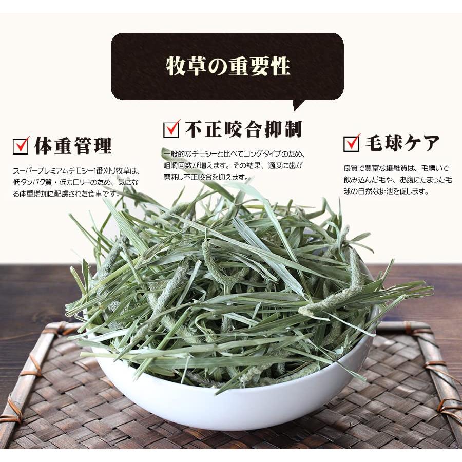 【5/11まで】 カナダ産 チモシー 60kg スーパープレミアム １番刈り カナダ産 チモシー 60kg スーパープレミアム 1番刈り 2⁄9まで