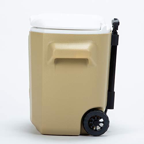 超歓迎 コールマン クーラーボックス 釣り 小型 28qt 約26リットル Coleman Cisama Sc Gov Br