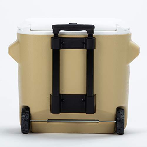 超歓迎 コールマン クーラーボックス 釣り 小型 28qt 約26リットル Coleman Cisama Sc Gov Br