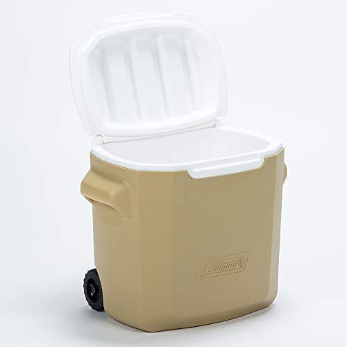 限定価格セール コールマン クーラーボックス 釣り 小型 28qt 約26リットル Coleman Cisama Sc Gov Br