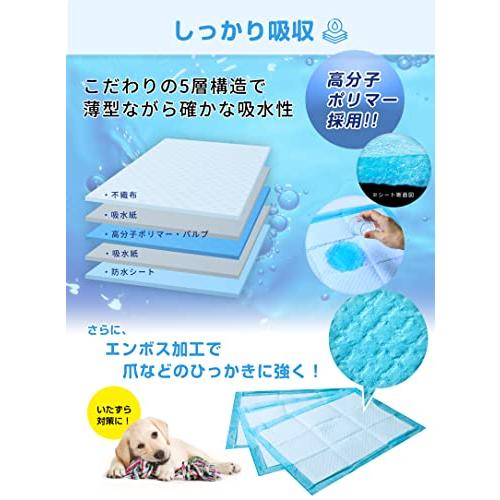 スリーアローズ テープ付きがうれしい薄型ペットシーツ スーパーワイド 0枚 Www Ortostuudio Ee