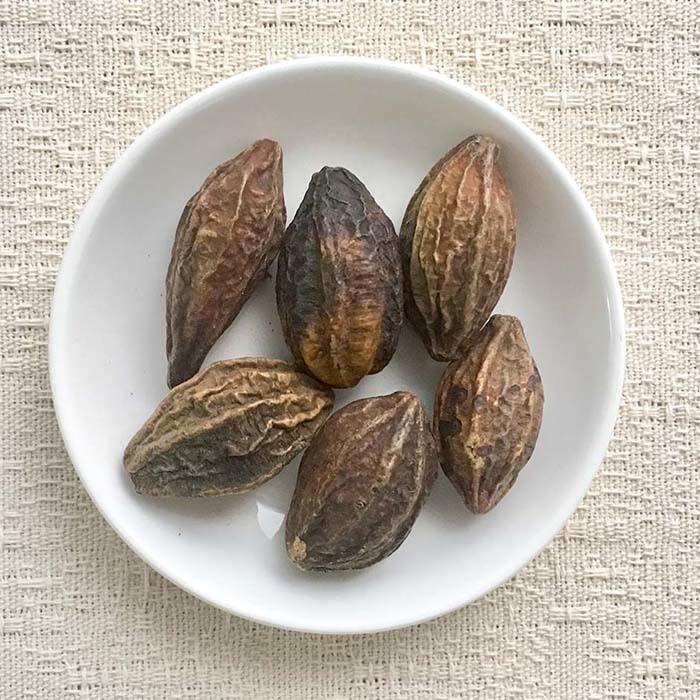 ミロバラン 100ｇ ◆ 草木染染料（材料）植物・天然染料 | 