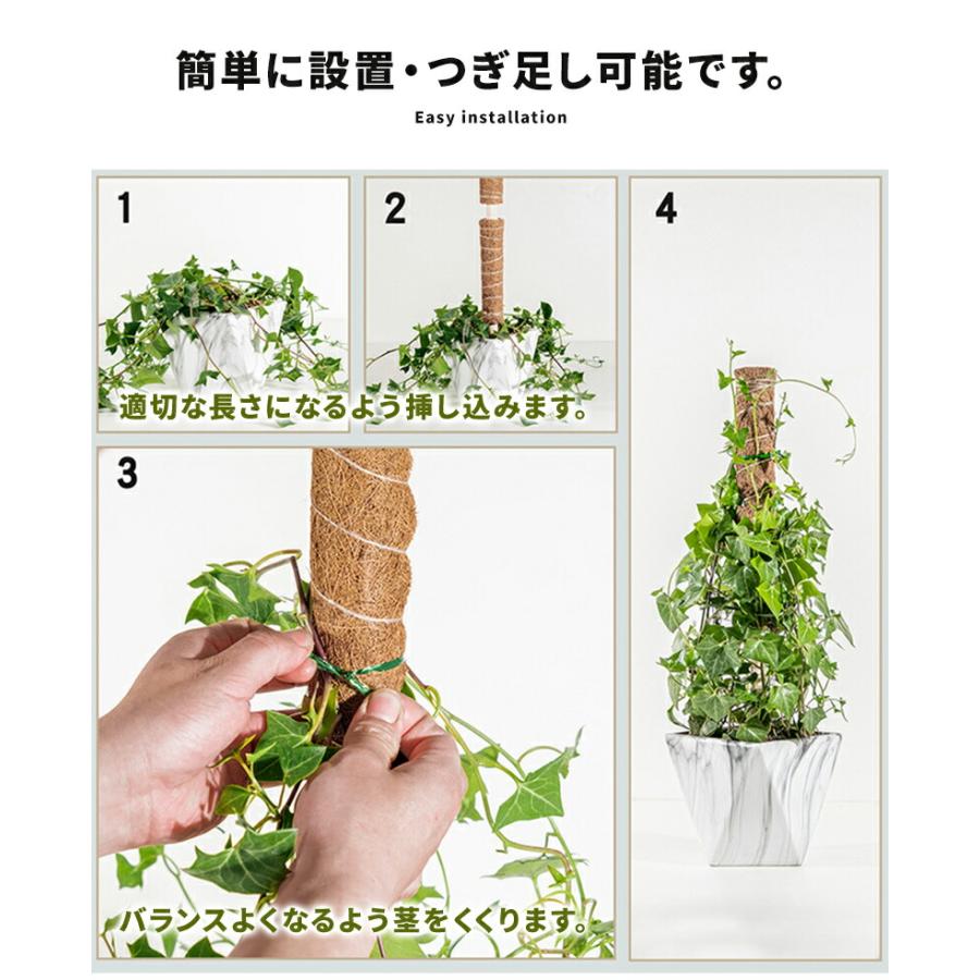 内祝い ココスティック 3本セット モンステラ 支柱 観葉植物 おしゃれ プランター 植木鉢 植物 園芸支柱 観葉支柱 ガーデニング ココスティック 支柱 Angkorgreen Com Kh