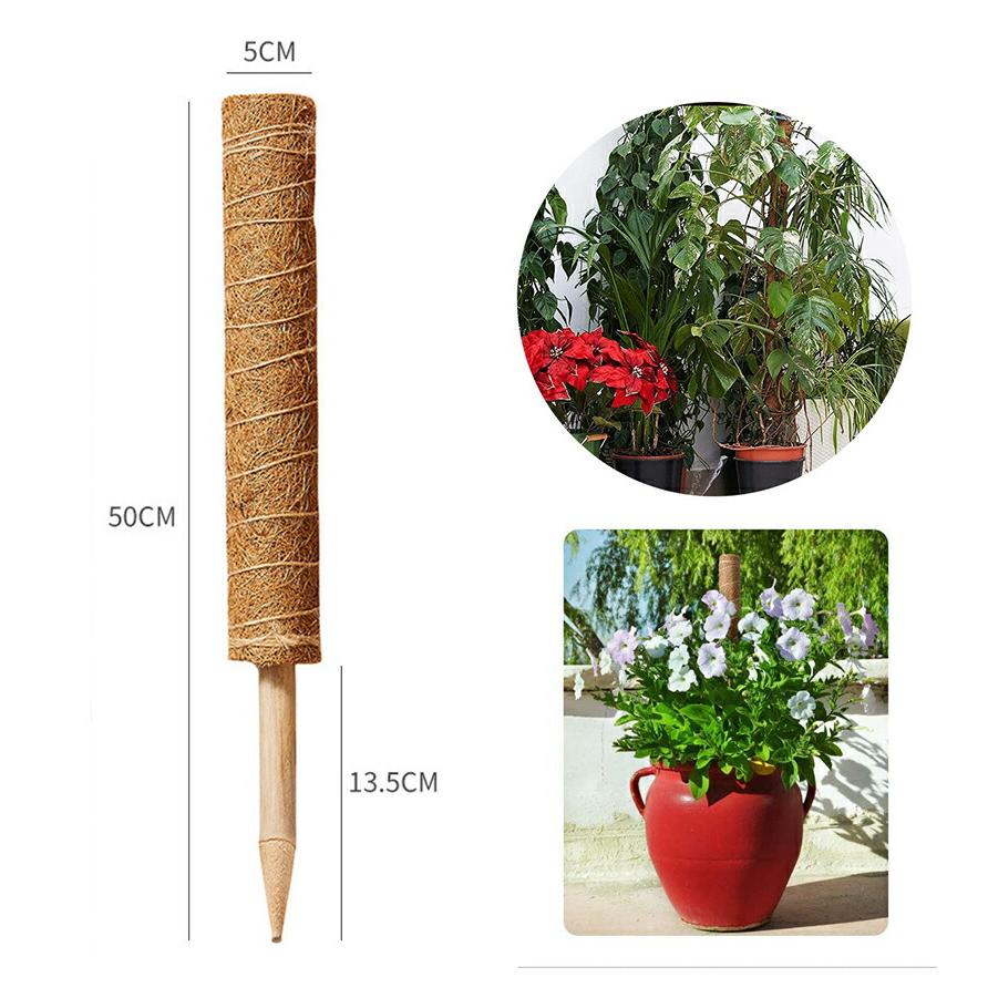 内祝い ココスティック 3本セット モンステラ 支柱 観葉植物 おしゃれ プランター 植木鉢 植物 園芸支柱 観葉支柱 ガーデニング ココスティック 支柱 Angkorgreen Com Kh