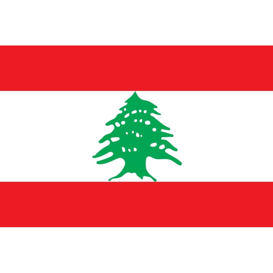 レバノンシダー(レバノン杉)種子20粒 Cedar of Lebanon 20 seeds :ntjh7987mh:H.I.Tree C's Yahoo!店 - 通販 - Yahoo!ショッピング レバノンシダー(レバノン杉)種子20粒 Cedar of Lebanon 20 seeds :ntjh7987mh:H.I.Tree C's Yahoo!店 - 通販 - Yahoo!ショッピング