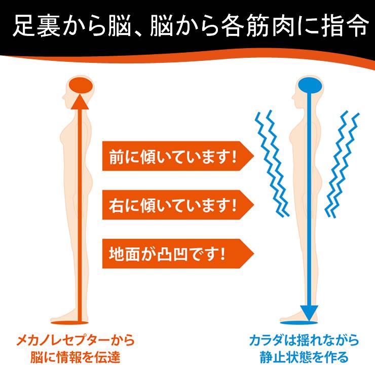 兼子ただし 完全監修 S足袋(エスたび)サポーター 単品 エスたび エスタビ えすたび ストレッチ 超ドSトレーナー 姿勢 体幹 補整 ブランチショッピング TBS｜hitte｜06