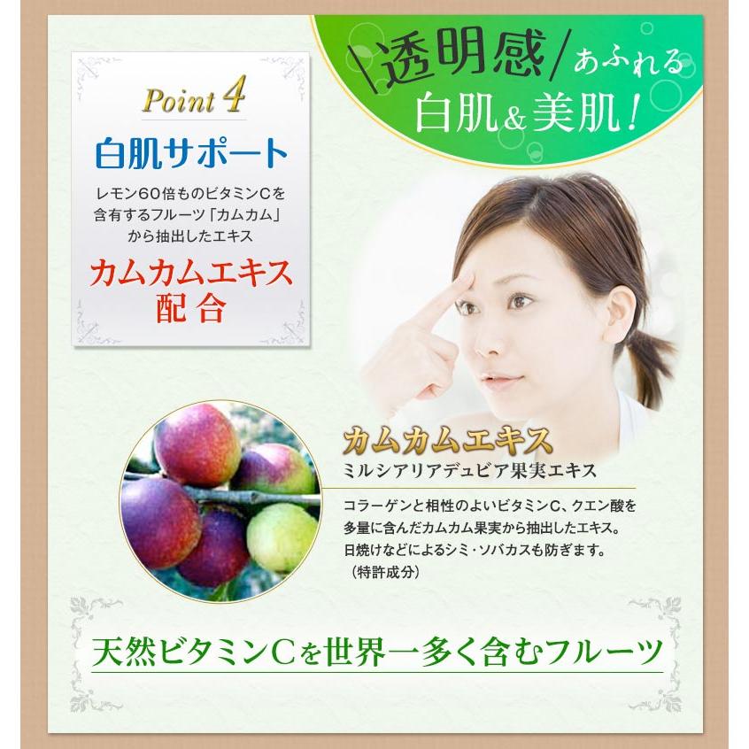 業務用炭酸パックブランジュ・プロ たっぷり20回分 （パフ・スパチュラ  