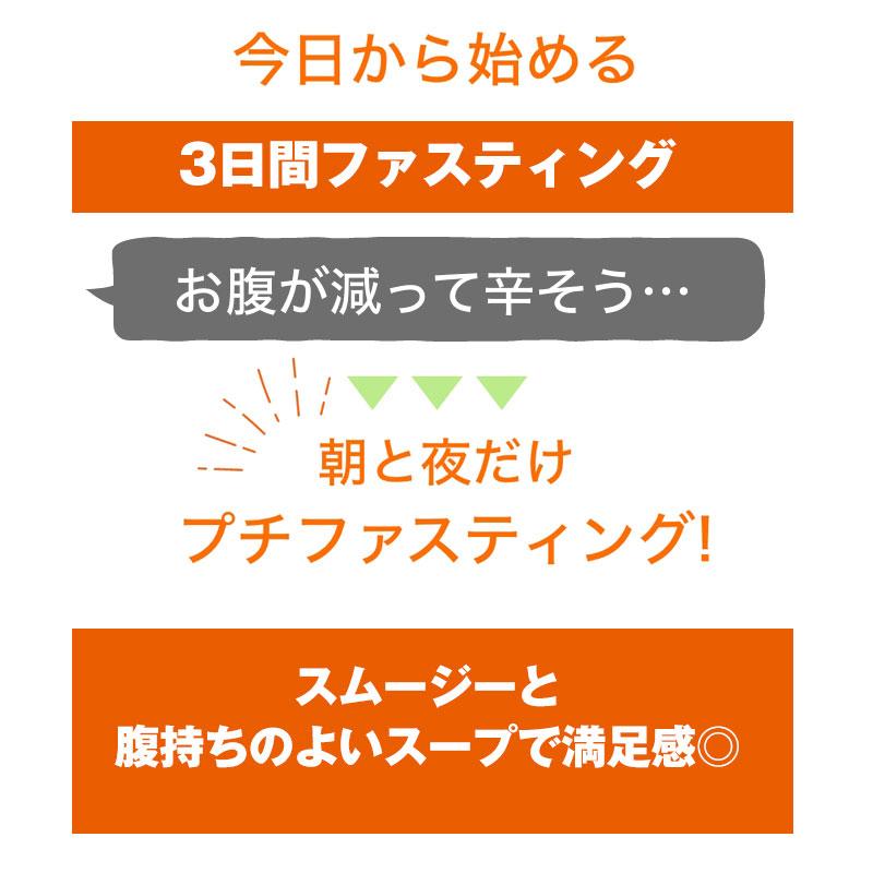 ベジエ ナチュラル ファスベジ 3daysプチファスティング 監修 ファスティング ジュース スープ 無添加 栄養満点 デトックス ワンデイ｜hitte｜10