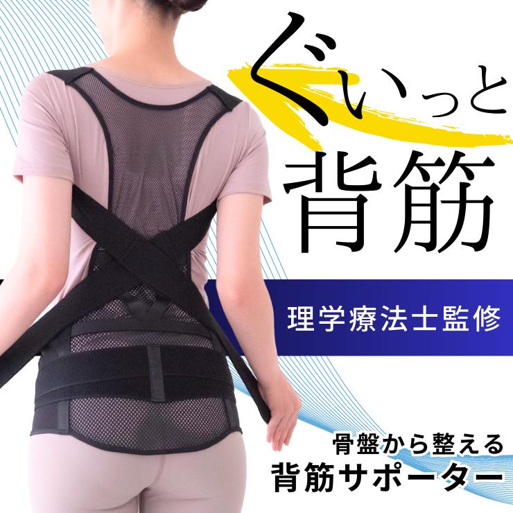 骨盤からととのえるメッシュの背筋サポーター 背筋 男女兼用 簡単 ライン 肩甲骨 メッシュ 伸ばし 骨盤 引締め 姿勢矯正 補正下着 猫背 | 