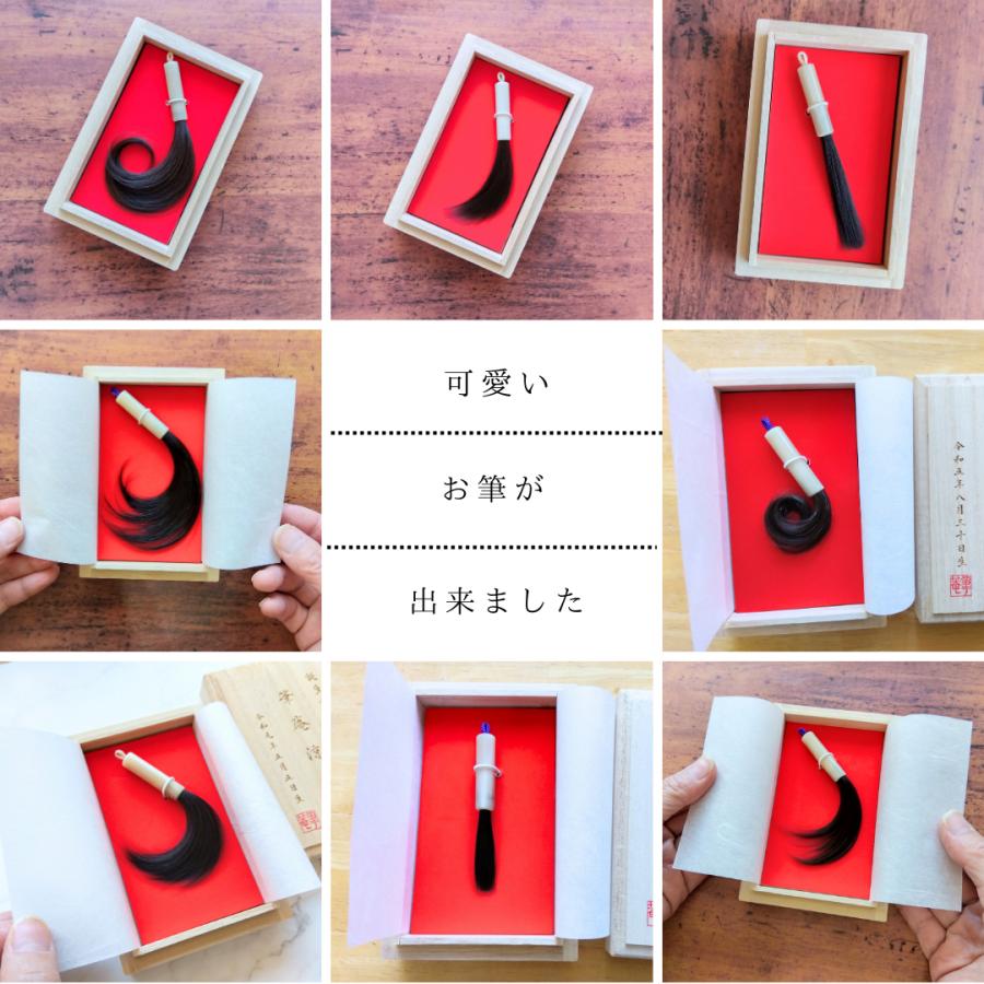 赤ちゃん筆　仕立て券 赤ちゃん筆 胎毛筆 くせ毛を残せる プチボックス お仕立て券 生年月日
