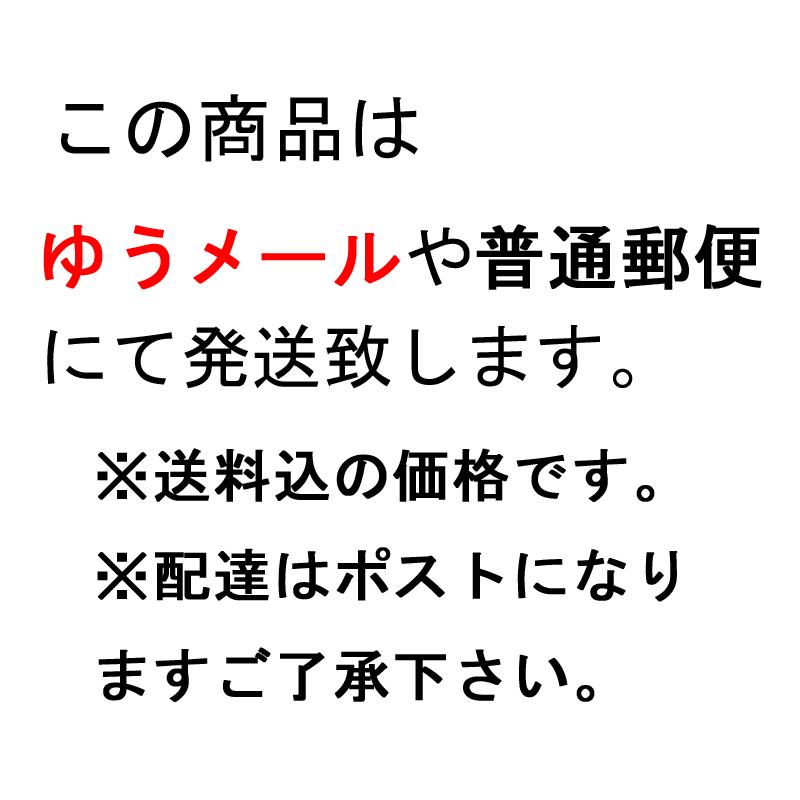 書画用 吸い取り紙　墨吸い取るんだぁー (10枚) 　 作品 吸水 書道 墨 仕上 紙 書画 書 習字｜hituan｜05