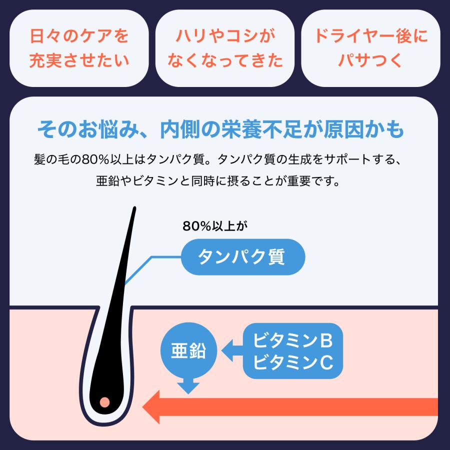 HIX（ヒックス） サプリメント（120粒30日分） 亜鉛 L-リジン ビオチン
