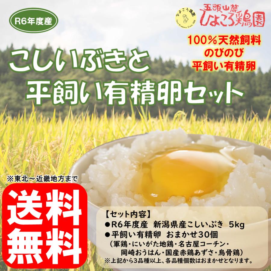 有精卵 軍鶏の商品一覧 通販 Yahoo ショッピング