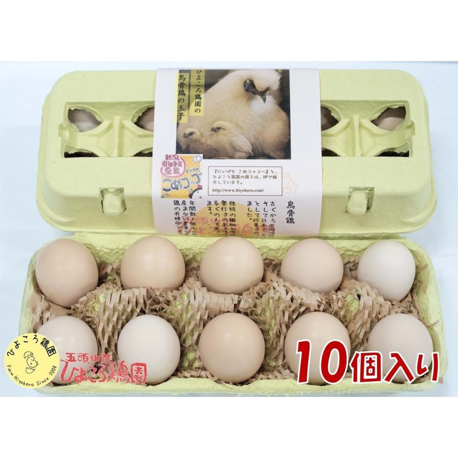 10個入】烏骨鶏の有精卵(サイズフリー) : 五頭山麓 ひよころ鶏 10個入】烏骨鶏の有精卵(サイズフリー) : 五頭山麓 ひよころ鶏