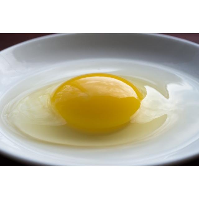 烏骨鶏の卵10個 烏骨鶏苑 アローカナ卵 〔10×6〕 鶏卵 ｜ 産直お取り寄せ
