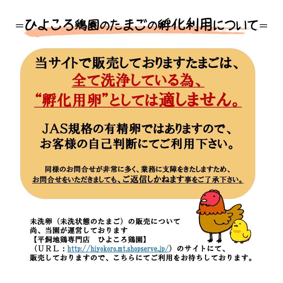 地鶏たまご(烏骨鶏・薬師軍鶏・にいがた地鶏・名古屋コーチン・岡崎おうはん)　5種各6個入・計30個セット｜hiyokoro｜03