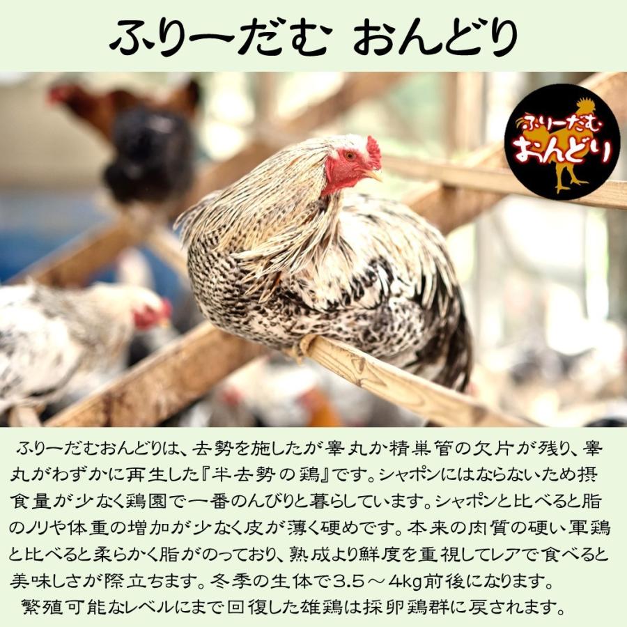 送料無料 雌鶏内臓串１袋 3本入 おまけ付 放牧軍鶏 半去勢鶏 半羽分焼き鳥セット 総計約1 0kg 30本以上 M Shamo Half Yakitori 五頭山麓 ひよころ鶏園 通販 Yahoo ショッピング