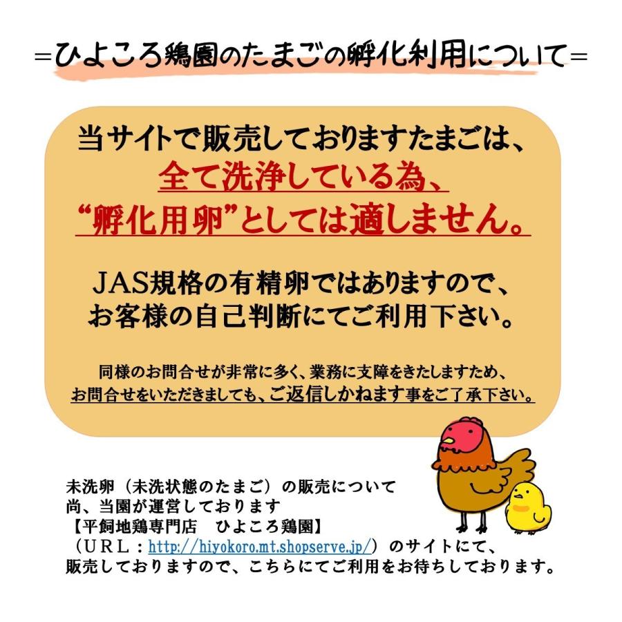 【送料無料(※東北から近畿地方まで)】令和5年度産 新潟県産コシヒカリ(3kg)と平飼い有精卵 おまかせ30個のセット｜hiyokoro｜04