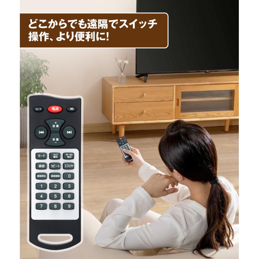 スピーカーセット 拡声器 充電式 TFカード/USB/AUX/スマホ対応