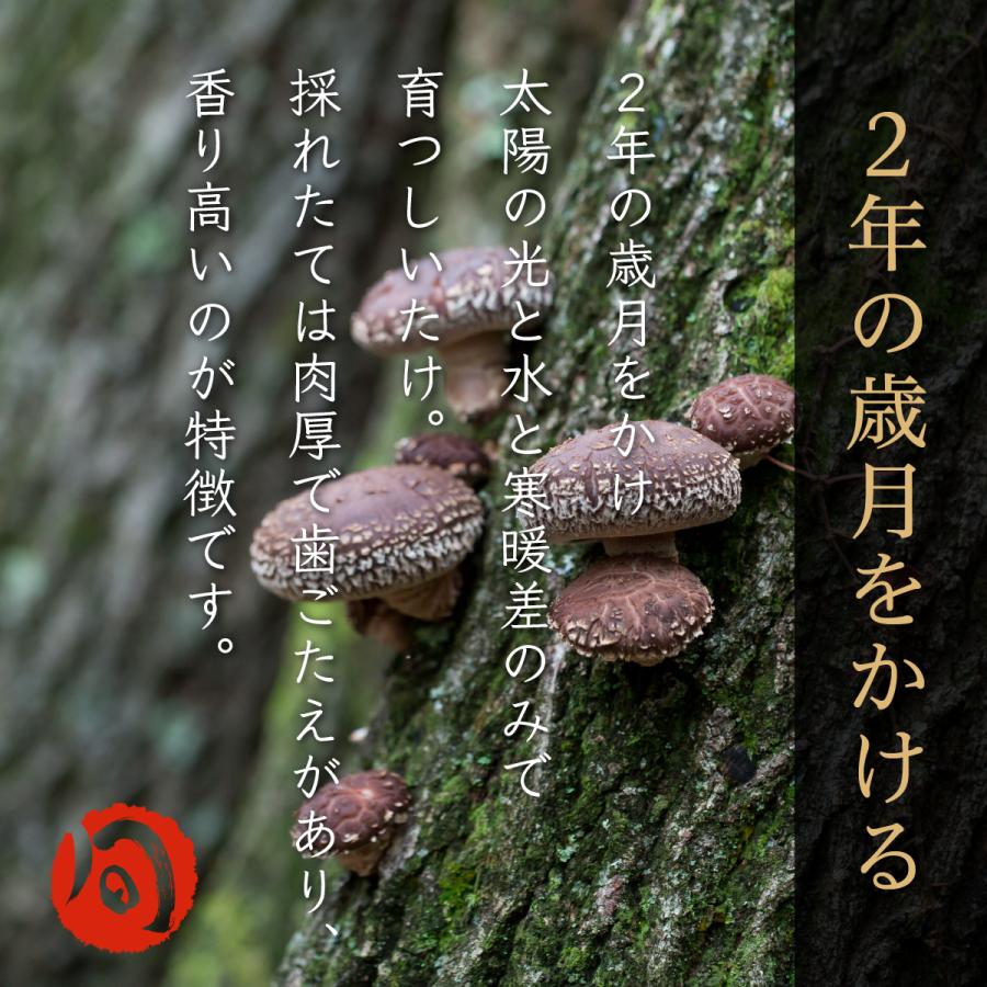 しいたけ 原木栽培 生椎茸 1kg 期間限定 福岡県八女産 露地栽培 肉厚 完全無農薬 菌床栽培とは違う味と香り バター焼 天ぷら q 01 001 01 しいたけ専門店 陽より子 通販 Yahoo ショッピング