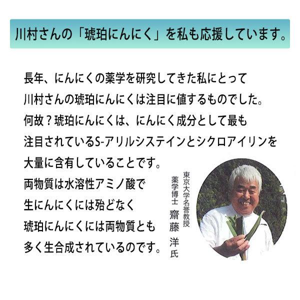 にんにく サプリ 琥珀にんにくカプセル 120（約60日分）田子かわむら 青森 低温熟成 プロテオグリカン あおもりPG うっかり  S-アリルシステイン 定期購入 |  | 06