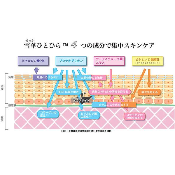 化粧水 雪華ひとひら 100mL Carino プロテオグリカン ビタミンＣ誘導体 アーティチョク葉エキス カリノ |  | 03