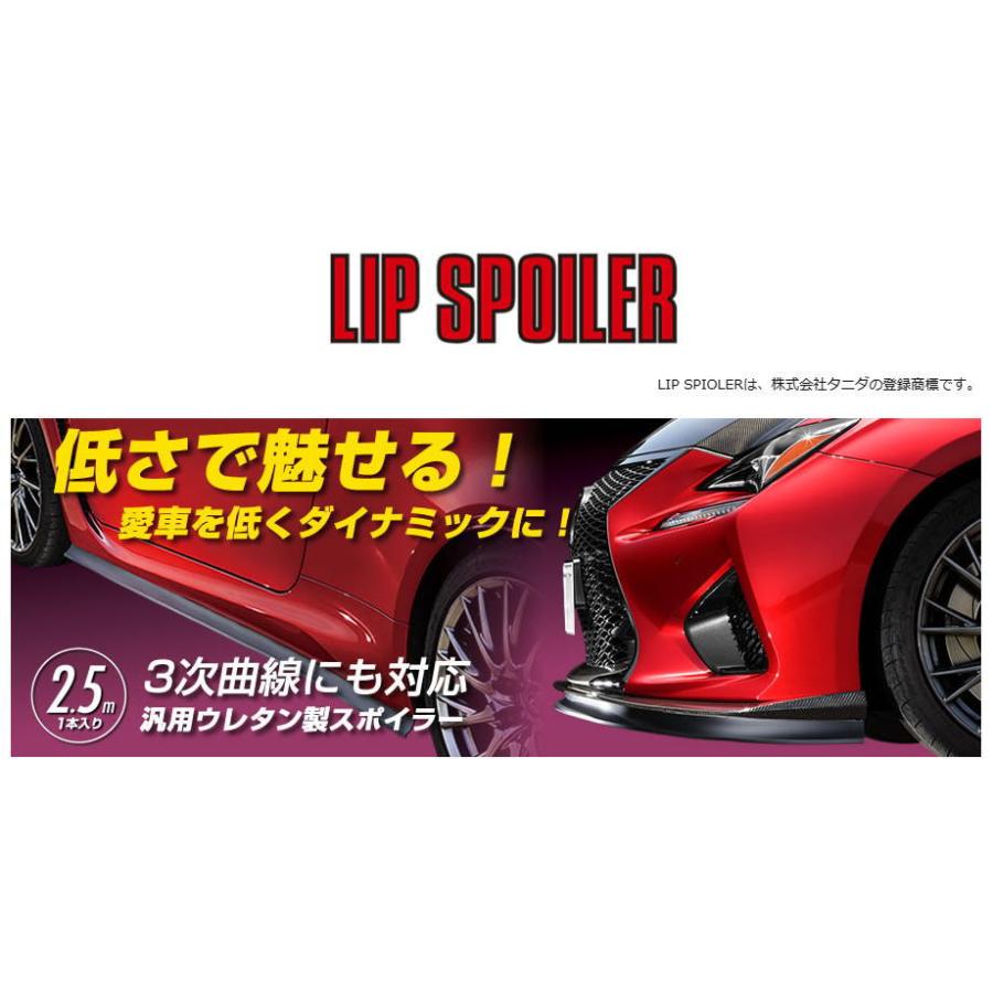 JURAN リップスポイラー【352255】 : オートイーグル - 通販