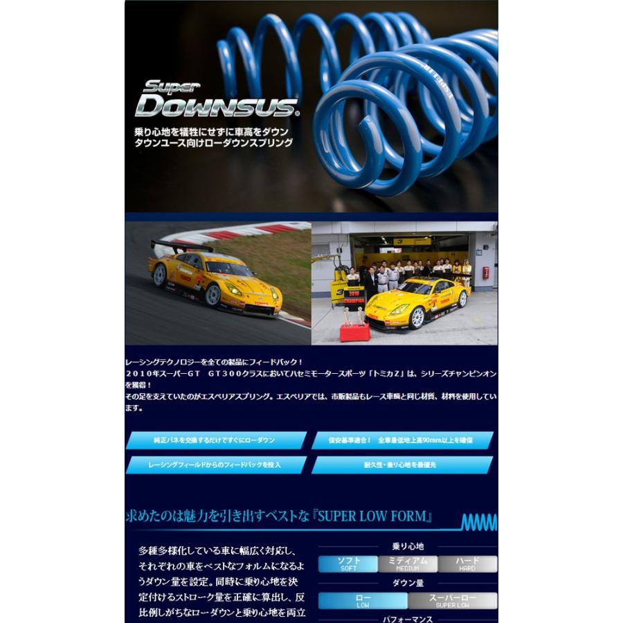 全国送料無料！(離島を除く) 代引不可 エスペリア スーパーダウンサス