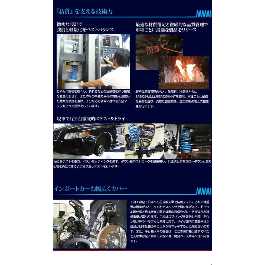 全国送料無料！(離島を除く) 代引不可 エスペリア スーパーダウンサス