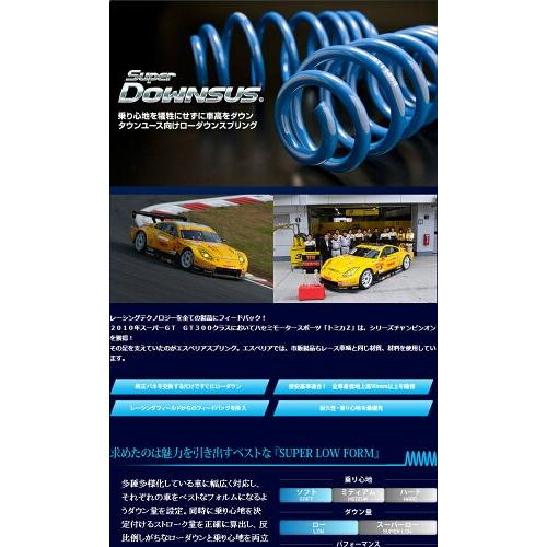 全国送料無料！(離島を除く) 代引不可 エスペリア スーパーダウンサス
