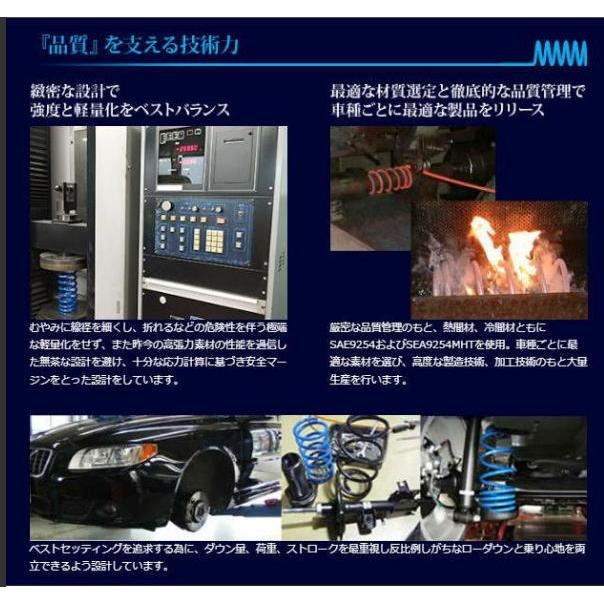 全国送料無料！(離島を除く) 代引不可 エスペリア スーパーダウンサス