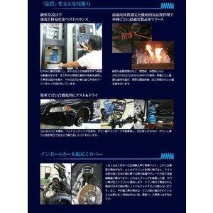 全国送料無料(離島を除く)代引不可 エスペリア スーパーダウンサス トヨタ ライズ【EST-6033】１台分