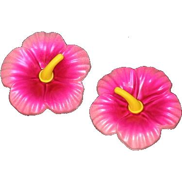 ゆうパケット350】ナンバーボルトキャップ ハイビスカス/ピンク【HK-75