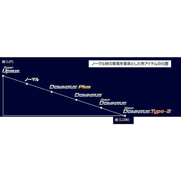 全国送料無料(離島を除く)代引不可 エスペリア スーパーアップサス トヨタ アルファード 1台分【T-8946】｜hkbsports｜02