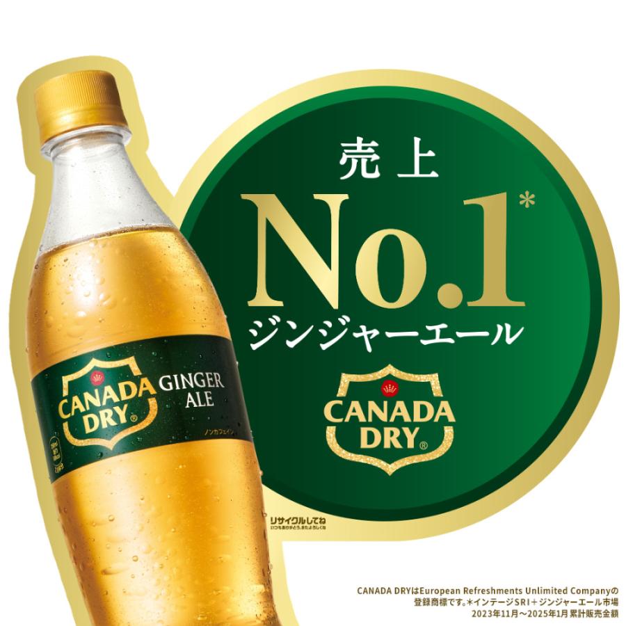 カナダドライ ○エントリーでP+10％ 3/1まで○炭酸 ペットボトル 割材