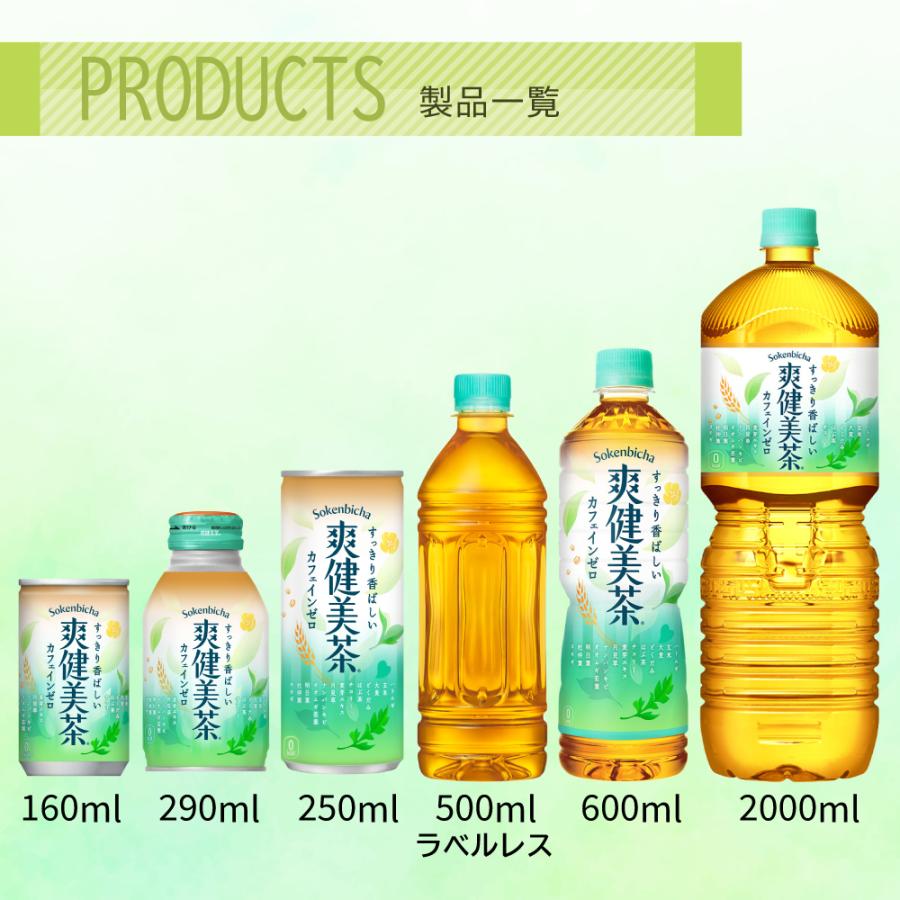 爽健美茶　2.3 BeauteaBlend™（ビューティーブレンド）”で 爽やかに、健やかに